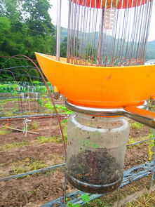 單燈太陽能智能電網式滅蟲器 前沿科技賦能綠色農業，量產工藝揭示價錢密碼